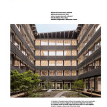 Lignum - Bulletin Bois d'automne : bois et terre – Une équipe d'avenir